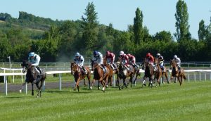 Image of horse racing